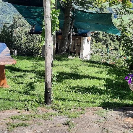 Bed and Breakfast Casa Tonacchiolo Acquaria Екстер'єр фото